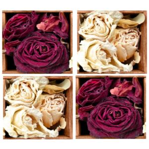 Korkové prostírání set 4ks 10,5 x 10,5 cm, růže vintage