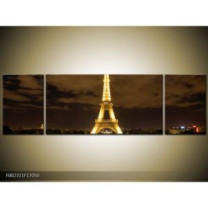Obraz noční Eiffelovy věže (F002311F17050)