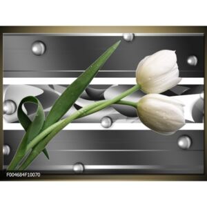 Obraz tulipány bílé