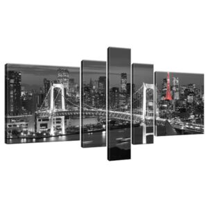 Obraz na plátně Duhový most Tokio 160x80cm 2390A_5J