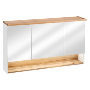Skříňka zrcadlová BAHAMA 120 cm bílá, bílá rozměry: 120 x 25 cm