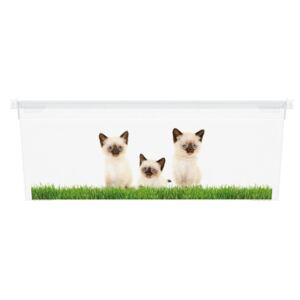 Dek Úložný box velikosti XS motiv Puppy & Kitten