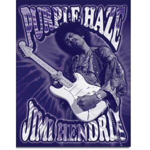 Plechová cedule: Jimi Hendrix (Purple Haze) - 40x30 cm