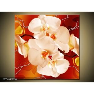 Obraz bílých orchidejí (F005694F3030)