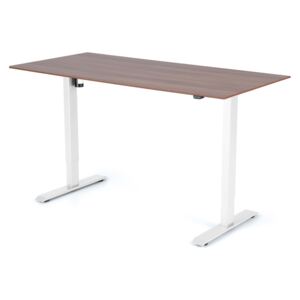 Výškově nastavitelný stůl Liftor 2segmentové nohy bílé, deska 1600 x 800 x 18 mm ořech