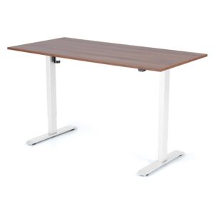 Výškově nastavitelný stůl Liftor 2segmentové nohy bílé, deska 1600 x 800 x 25 mm ořech