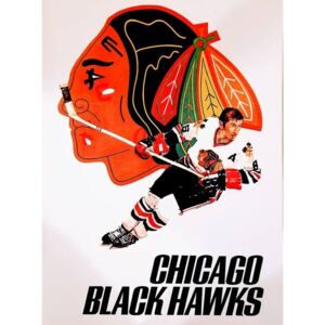 Plechová cedule Chicago Black Hawks