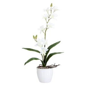 Gasper Orchidej 60cm bílá (bez květináče)