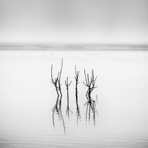 Umělecká fotografie Vegoritida Lake 005, Gilbert Claes