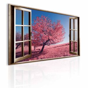 3D obraz okno růžová krajina + háčky, hřebíčky, čistící hadřík ZDARMA Velikost (šířka x výška): 90x60 cm