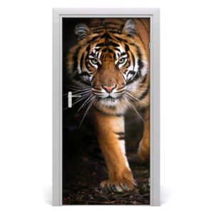 Fototapeta samolepící na dveře tygr
