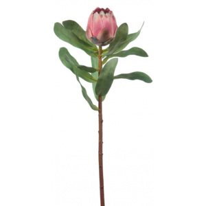 Animadecor Umělá květina - Protea růžová