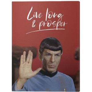 Obraz na plátně Star Trek - Live Long and Prosper, (60 x 80 cm)