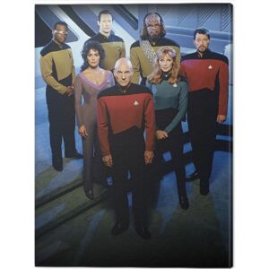 Obraz na plátně Star Trek: The Next Generation - Enterprise Officers, (60 x 80 cm)