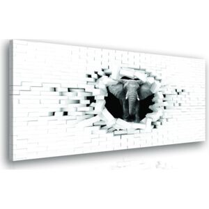 3d obraz slon ve zdi + háčky, hřebíčky, čistící hadřík ZDARMA Velikost (šířka x výška): 90x60 cm