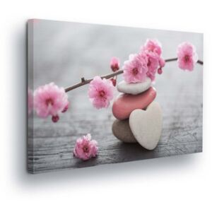 Obraz na plátně GLIX - Světle Růžové Květiny III 50x70 cm