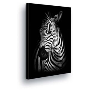 Obraz na plátně GLIX - Černobílá Zebra 60x40 cm