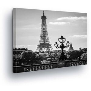 GLIX Obraz na plátně - Černobílá Eiffelova věž 25x35 cm