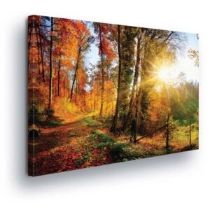 GLIX Obraz na plátně - Podzimní Listí v Lese 100x75 cm