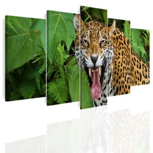 InSmile Vícedílný obraz - Jaguár 150x60 cm