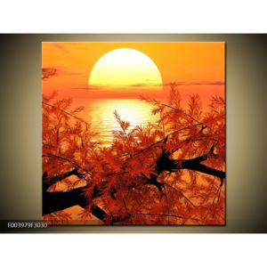 Obraz větve stromu se zapadajícím sluncem (F003979F3030)