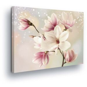Obraz na plátně GLIX - Magické Růžové Květy 80x60 cm