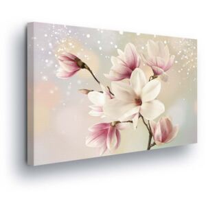 Obraz na plátně GLIX - Magické Růžové Květy 60x40 cm