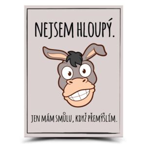 Dekorativní cedulka - Hloupý