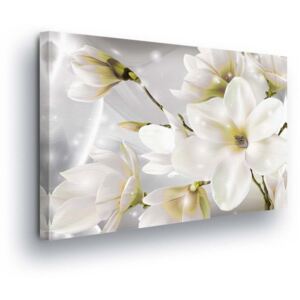 Obraz na plátně GLIX - Magické Bílé Květy 60x40 cm