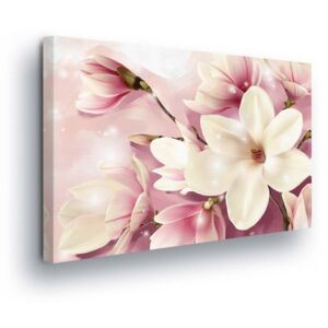 Obraz na plátně GLIX - Magické Růžové Květy II 60x40 cm