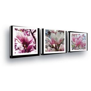 Obraz na plátně GLIX - Růžové Květy v Paspartě 3 x 25x25 cm