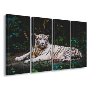 Obraz na plátně GLIX - White Tiger 4 x 30x80 cm