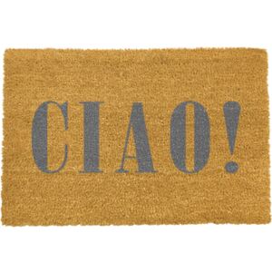Rohožka Artsy Doormats Ciao Grey, 40 x 60 cm