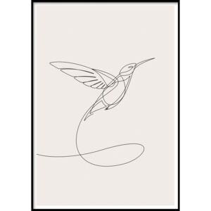Nástěnný obraz SKETCHLINE/HUMMINGBIRD, 50 x 70 cm
