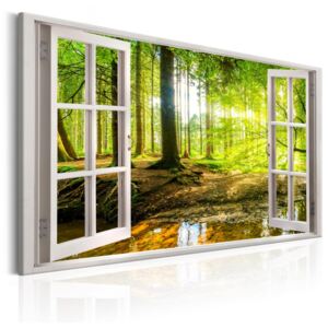 Obraz na plátně Bimago - Window: View on Forest 90x60 cm