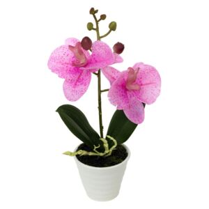Orchidea v keramickém květináči, sv. růžová, ORC720919