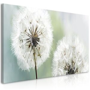 Obraz na plátně Bimago - Fluffy Dandelions (1 Part) Green Wide 100x45 cm