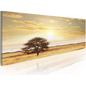 Obraz na plátně Bimago - Lonely tree on savannah 120x40 cm