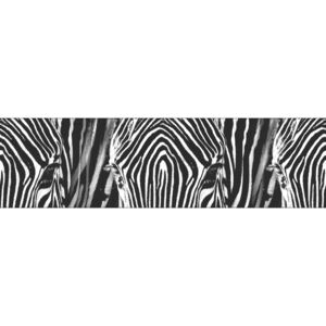 AG Art Samolepicí bordura Zebra, 500 x 14 cm