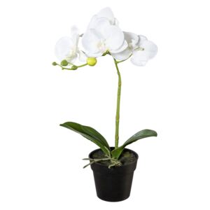 Umělá Orchidej v květináči bílá, 37 cm