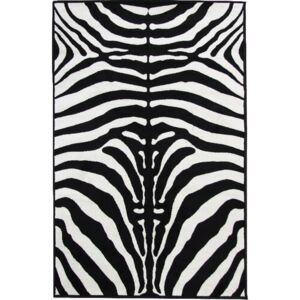 Tempo Kondela Kusový koberec Zebra, 100 x 140 cm