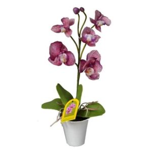 Umělá Orchidej v květináči fialová, 35 cm