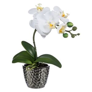 Umělá Orchidej v květináči bílá, 35 cm 1716302-40