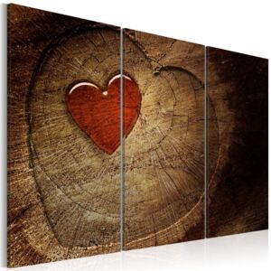 Obraz na plátně Bimago - Old love does not rust 60x40 cm