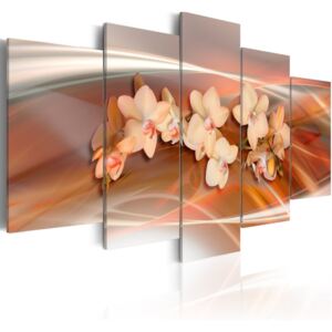 Obraz na plátně Bimago - Orchideje - oranžové odstíny 100x50 cm