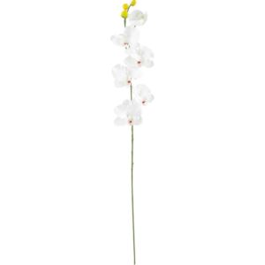 UMĚLÁ KVĚTINA, orchidej - 0041770763