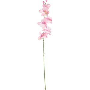 UMĚLÁ KVĚTINA, orchidej - 0041770761