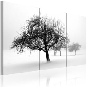 Obraz na plátně Bimago - Zasněžené stromy 60x40 cm
