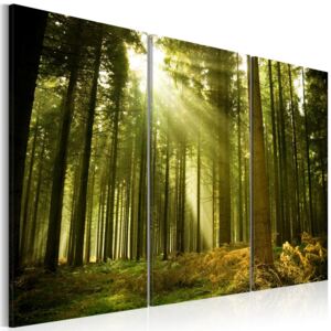 Obraz na plátně Bimago - Zelený les 60x40 cm