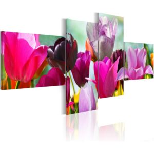 Obraz na plátně Bimago - Růžové tulipány 100x45 cm